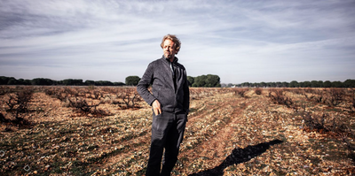 BODEGA DOMINIO DEL BENDITO