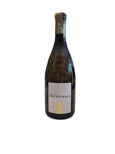 TENUTA AMADIO BIANCHETTA ANCESTRALE FRIZZANTE