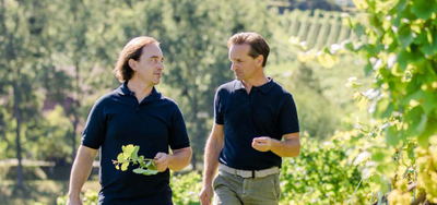 WEINGUT PRIMUS