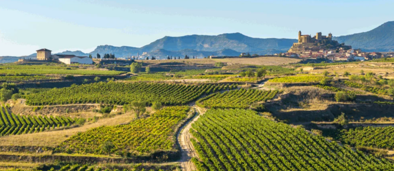 BODEGA TEOFILO REYES