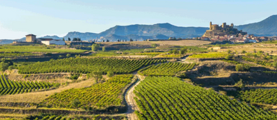 BODEGA TEOFILO REYES
