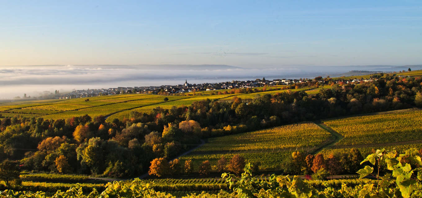 RHEINGAU
