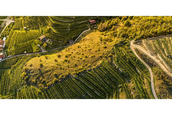 WACHAU